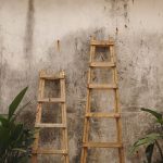 Two wooden ladders against a textured wall with some plants in the foreground