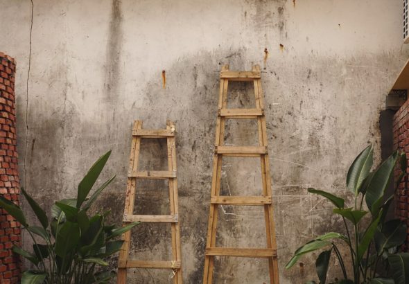 Two wooden ladders against a textured wall with some plants in the foreground