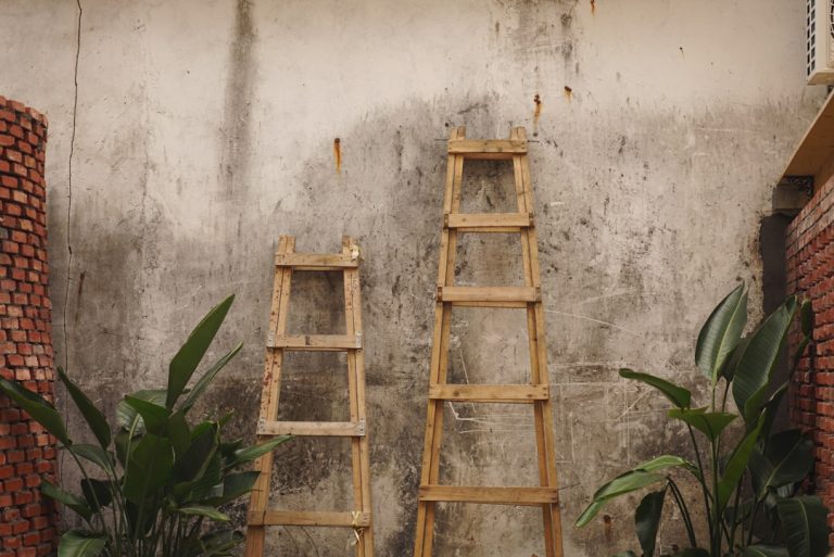 Two wooden ladders against a textured wall with some plants in the foreground