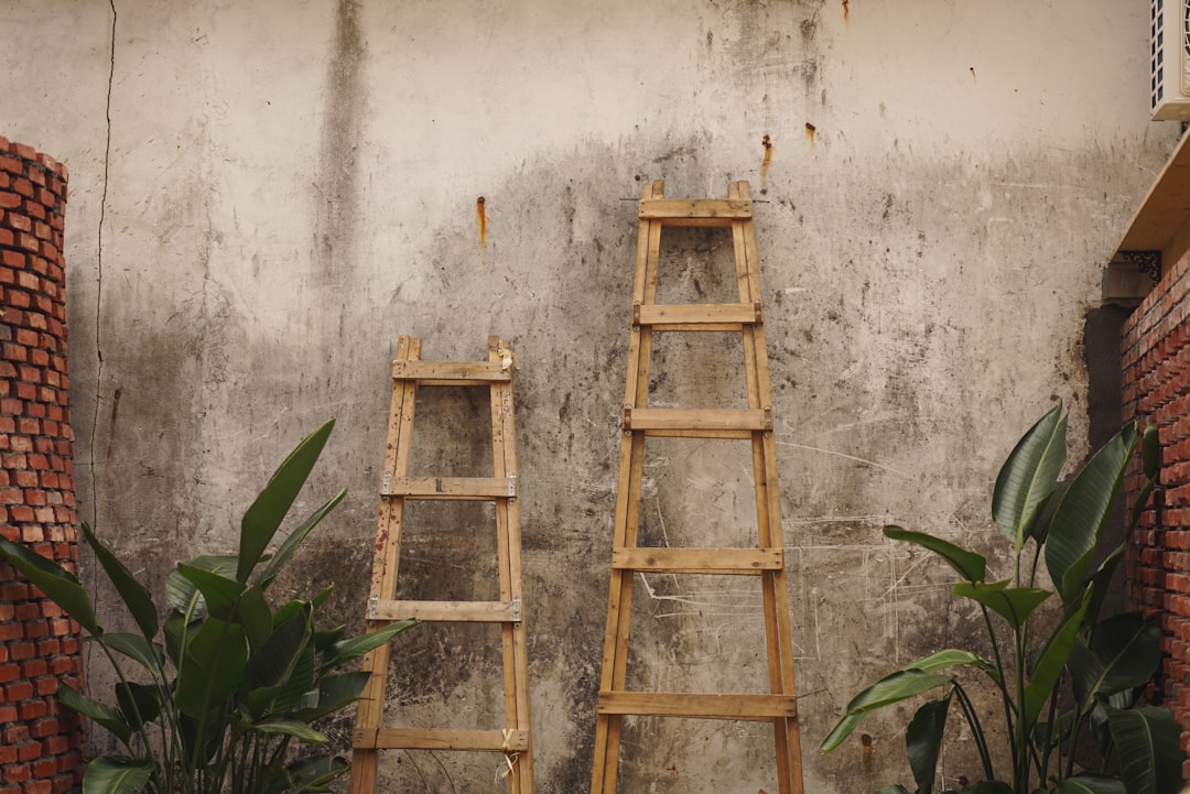 Two wooden ladders against a textured wall with some plants in the foreground