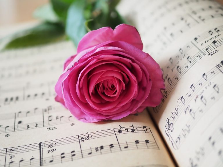A delicate pink rose rests on a sheet of music, creating a romantic and artistic ambiance. — R’n’B Songs: Understanding the D