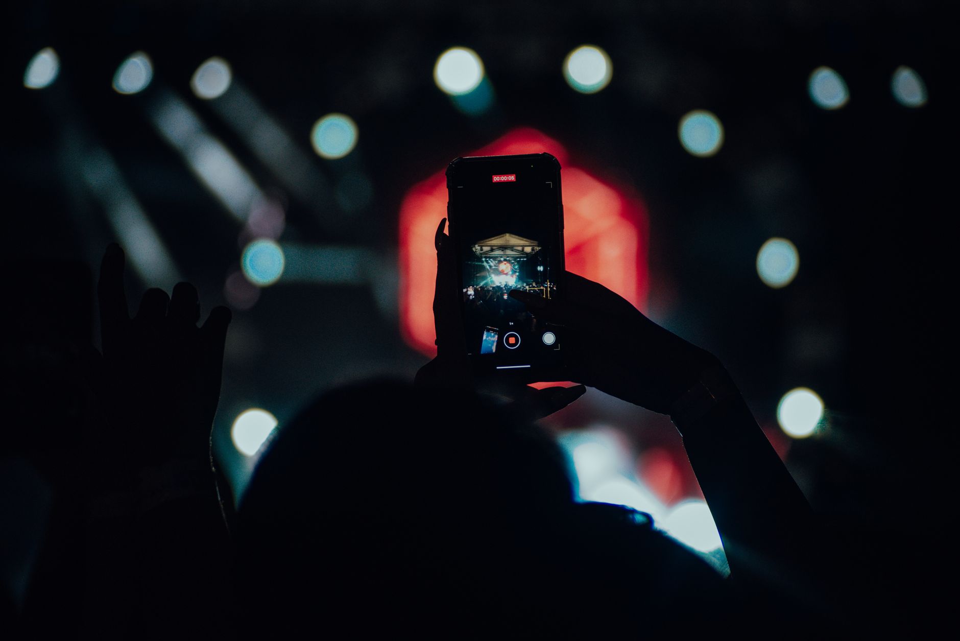 value of concert experiences